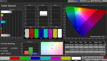 CalMAN - Цветовой охват при ориентации на sRGB, внешний экран, режим Natural