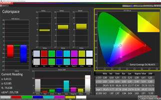 Тест CalMAN Colorspace (эталонное цветовое пространство: sRGB)