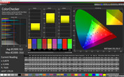 Тест CalMAN ColorChecker (цветовое пространство: sRGB), режим дисплея "Яркий"