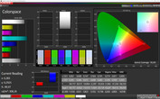 Тест CalMAN Colorspace (цветовое пространство: sRGB), режим дисплея "Яркий"