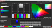 CalMAN Colorspace (sRGB, стандартная цветопередача)