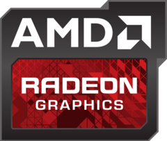 Видеочип Radeon будет не встроенным, как текущие видеоадаптеры Intel HD и Iris, а в виде отдельного модуля. (Изображение: AMD)