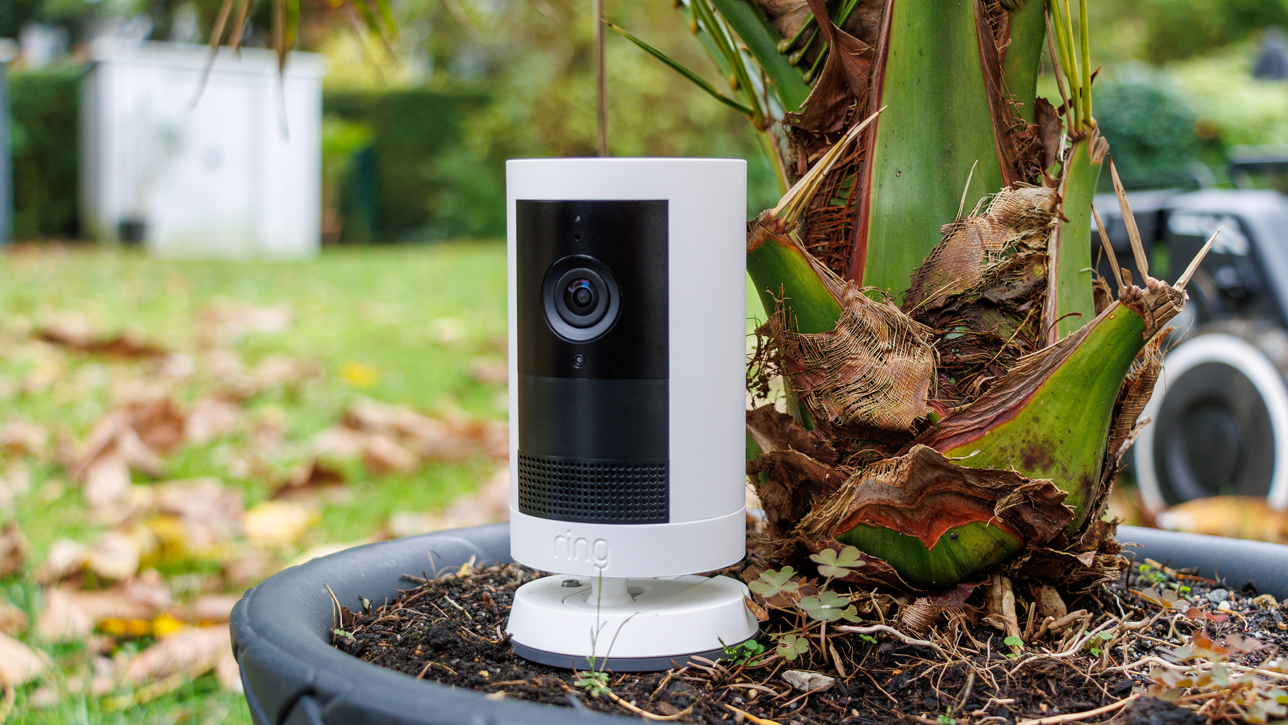 (Источник изображения: Дэниел Шмидт)