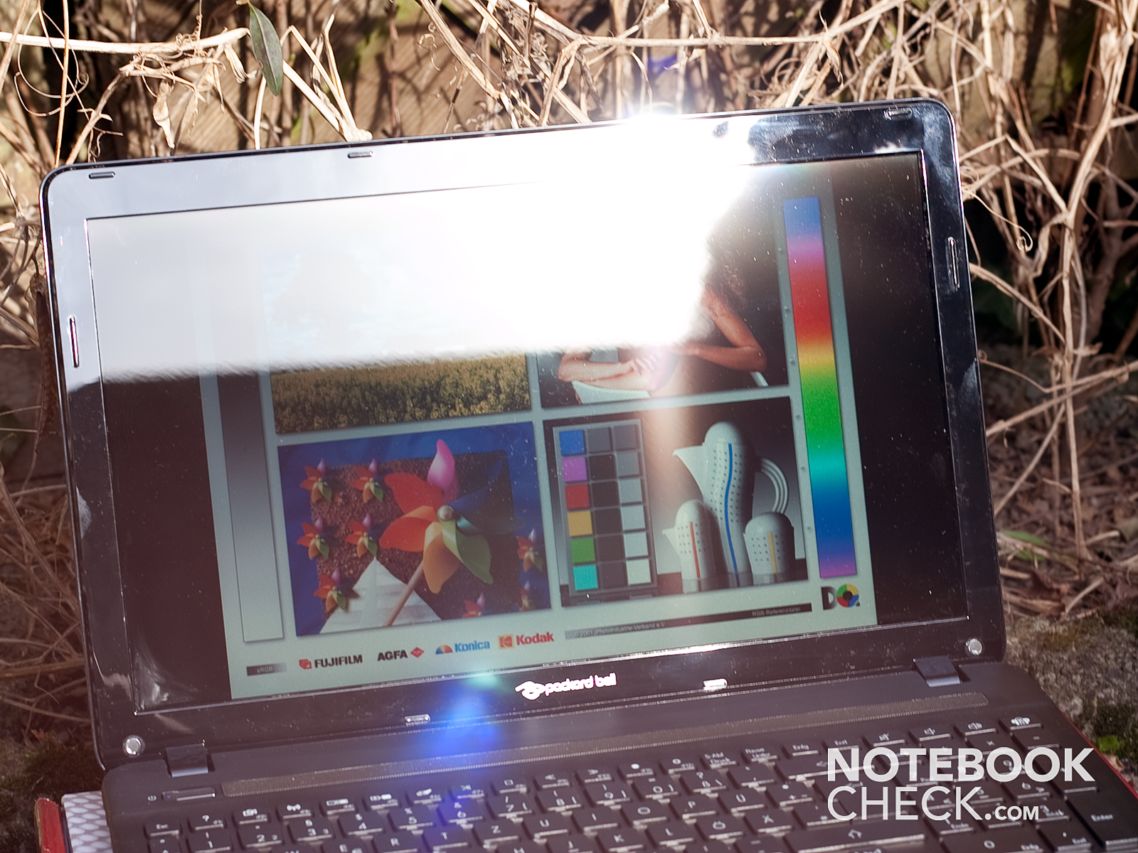 Packard Bell EASYNOTE ts11hr (p5ws0. Raw это что в ноутбуке.