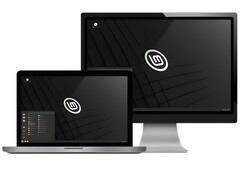 Linux Mint - это отличный способ начать знакомство с миром Linux. (Источник изображения: Linux Mint)