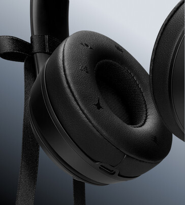 На украшенной амбушюре изображены символы, вдохновленные Дженни.