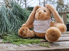 Снимок в исходном качестве