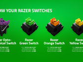 Razer представила удобное визуальное руководство для своего семейства механических переключателей (Изображение: Razer)