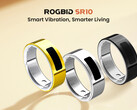 Rogbid SR10 продается со скидкой по цене $99.99 (Источник изображения: Rogbid)