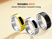 Rogbid SR10 продается со скидкой по цене $99.99 (Источник изображения: Rogbid)