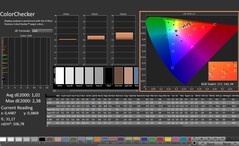 CalMAN: ColorChecker (после калибровки)