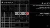 Apple A19 Pro 5-Core GPU