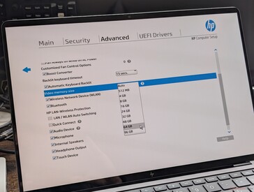 Опции до 96 ГБ для GPU. HP предупреждает, что "чрезмерный объем видеопамяти" может повлиять на общую производительность системы