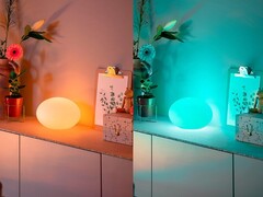 Ожидается, что в ближайшем будущем Philips Hue выпустит обновленную версию настольной лампы Flourish (на фото). (Источник изображения: Philips Hue)