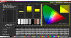 CalMAN ColorChecker (после калибровки)