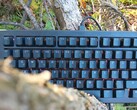 Клавиатура Gmmk 3 Pro HE 75% (Источник изображения: Notebookcheck)