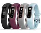 Модель Vivosmart 4. (Источник изображения: Garmin)