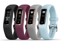 Модель Vivosmart 4. (Источник изображения: Garmin)