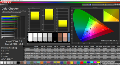 CalMAN ColorChecker (sRGB)