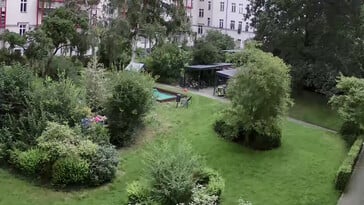Детали деревьев и кустарников в грязи - увеличение в 4 раза