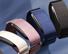 Устройство Garmin CIRQA доступно в четырёх цветах.