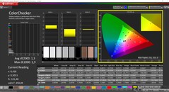 CalMAN ColorChecker (профиль: sRGB, целевое цветовое пространство: sRGB)