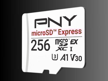 Флэш-карта PNY microSD Express 256 ГБ (Источник изображения: PNY PR)