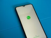 В бета-версии WhatsApp появилась функция "Представь меня" (Источник: Mourizal Zativa на Unsplash)