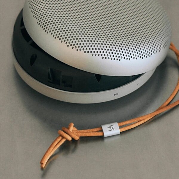 Bang & Olufsen Beosound A1 3rd Gen оснащен сменным (не пользовательским) аккумулятором. (Источник изображения: Bang & Olufsen)