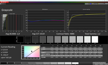 Шкалы серого (True Tone: выключено, целевое цветовое пространство: sRGB)