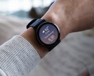Бета-версия 14.05 доступна для смарт-часов Garmin Venu 3 (вверху) и vivoactive 5. (Источник изображения: Garmin)