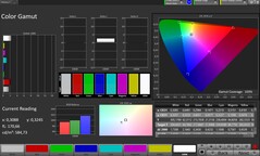 Цветовое пространство CalMAN sRGB
