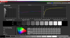 CalMAN gray scales (P3, DCI-P3)