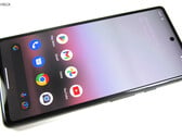 У некоторых пользователей Google Pixel 6a возникли серьезные проблемы после последнего обновления программного обеспечения (Источник изображения: Notebookcheck)