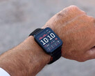 Venu X1 стоит почти столько же, сколько последние смарт-часы Garmin Fenix и Forerunner. (Источник изображения: Garmin)