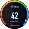 Бег: VO2max