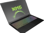 XMG указывают TGP видеокарт GeForce RTX 30 в характеристиках своих ноутбуков (Изображение: Bestware.com)