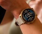 Пользователи смарт-часов Garmin Fenix 8 AMOLED (на фото) отметили проблему с яркостью. (Источник изображения: Garmin)