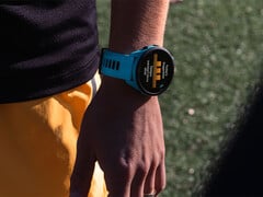 Компания Garmin вернулась к программе бета-тестирования Forerunner после небольшого перерыва, чтобы устранить ошибки, которые приводили к сбоям системы в недавней сборке. (Источник изображения: Garmin)