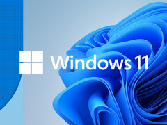 Microsoft и производители SSD пока не подтвердили наличие проблемы (Источник изображения: Microsoft)