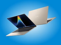 Dell XPS Googlebook выпускается только в одном варианте отделки.
