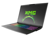 Schenker XMG Core 17 (Core i7-9750H, GeForce GTX 1660 Ti, 144-Гц) Tongfang GK7CP6R. Краткий обзор от Notebookcheck
