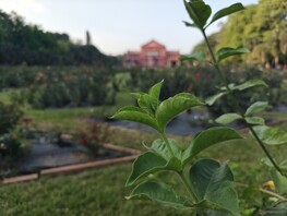 Портретная съемка с широкоугольным объективом