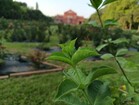 Redmi Note 13 5G: Основная камера 108 МП