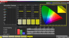 CalMAN saturation (после калибровки)