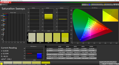 CalMAN Saturation Sweeps calibrated