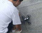 DJI Mini 5 Pro уже проходит тестирование. (Источник изображения: Игорь Богданов)