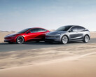 Model 3 и Model Y с компьютером AI4 FSD. (Источник изображения: Tesla)