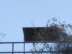 120-кратный зум