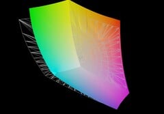 Medion Erazer Beast 18 X1 против AdobeRGB